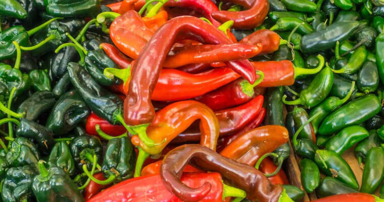 Anaheim Chilies: A Mild, Flavorful Pepper with a World of Possibilities