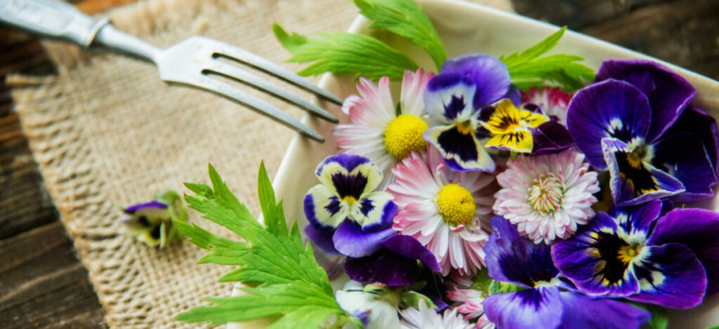 edible flowers around you