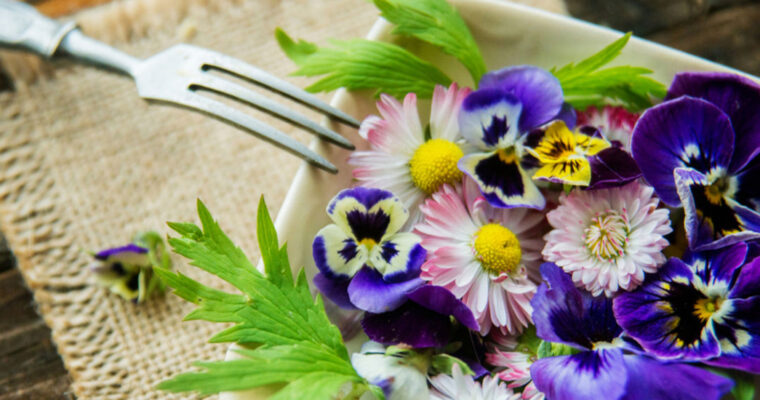 Edible flowers around you